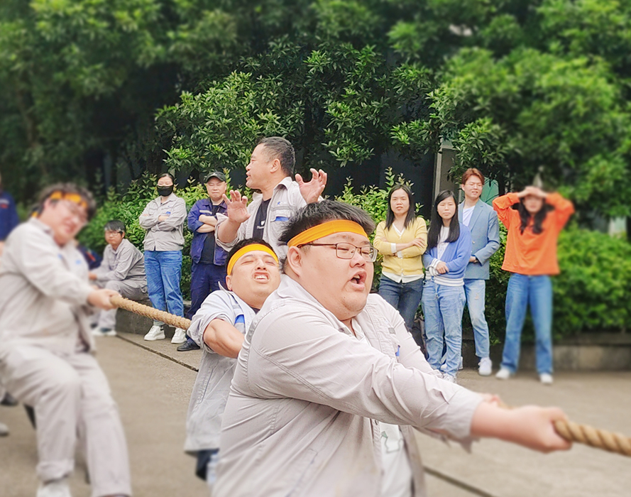 香港六全宝资料大全